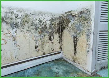 Fort Lauderdale Water & Mold Damage Fort Lauderdale, FL 954-374-6206 - cont-mold-wgr-1