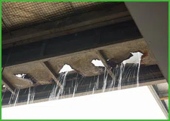 Fort Lauderdale Water & Mold Damage Fort Lauderdale, FL 954-374-6206 - cont-water-leak-wgr-1