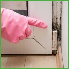 Fort Lauderdale Water & Mold Damage Fort Lauderdale, FL 954-374-6206 - side-mold-wgr-1