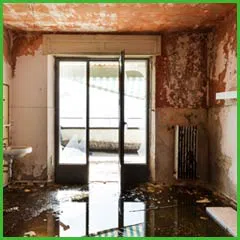 Fort Lauderdale Water & Mold Damage Fort Lauderdale, FL 954-374-6206 - side-water-damage-wgr-1